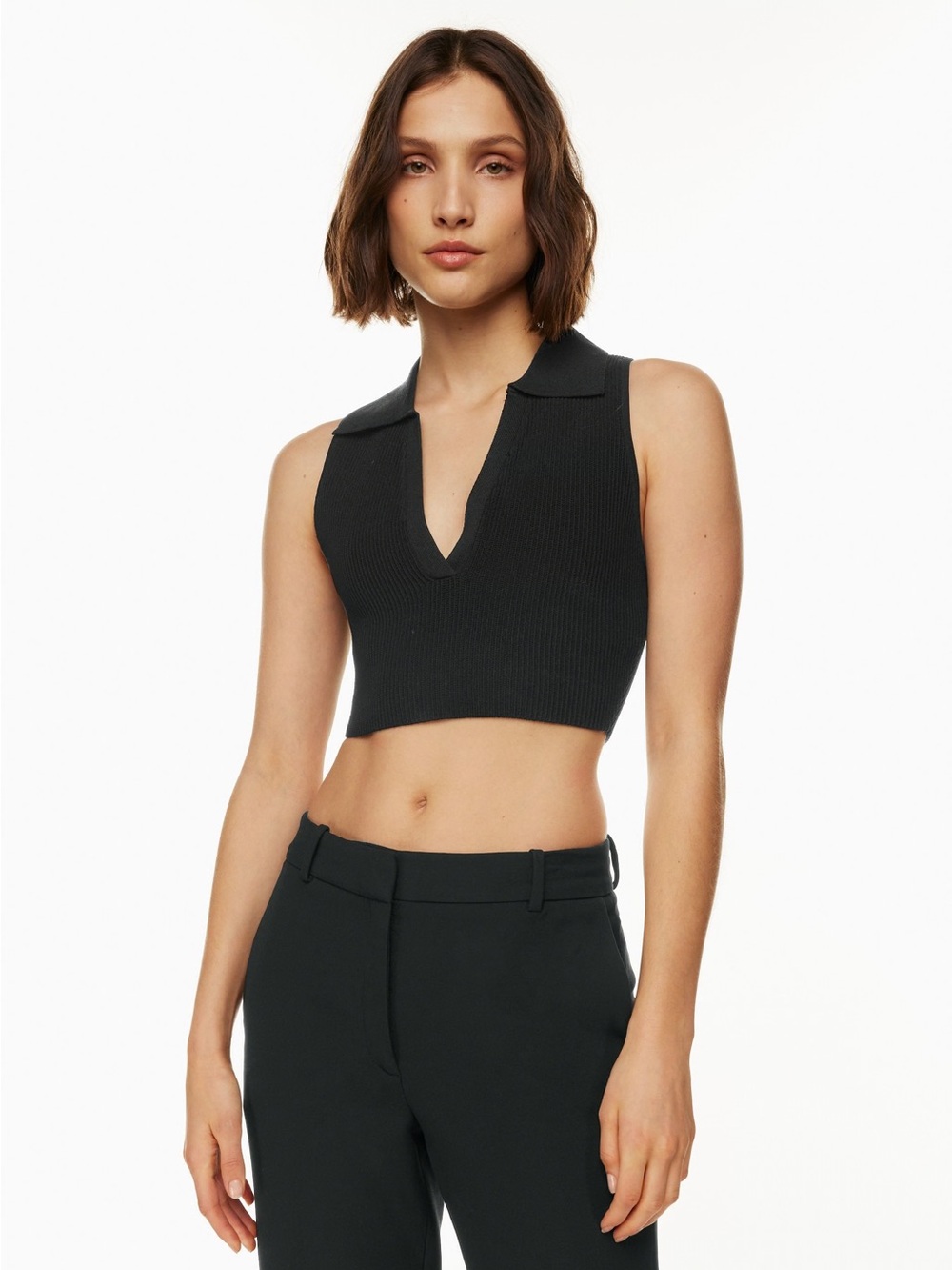 Babaton Aritzia Sculpt Knit Polo Top
